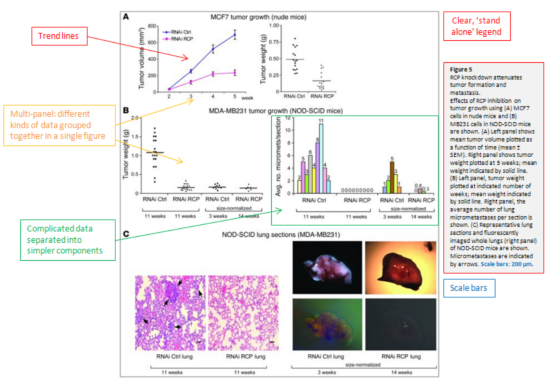 Figures and tables for scientific journals - sample